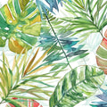 Caderno Tropical I — Robinson, Carol