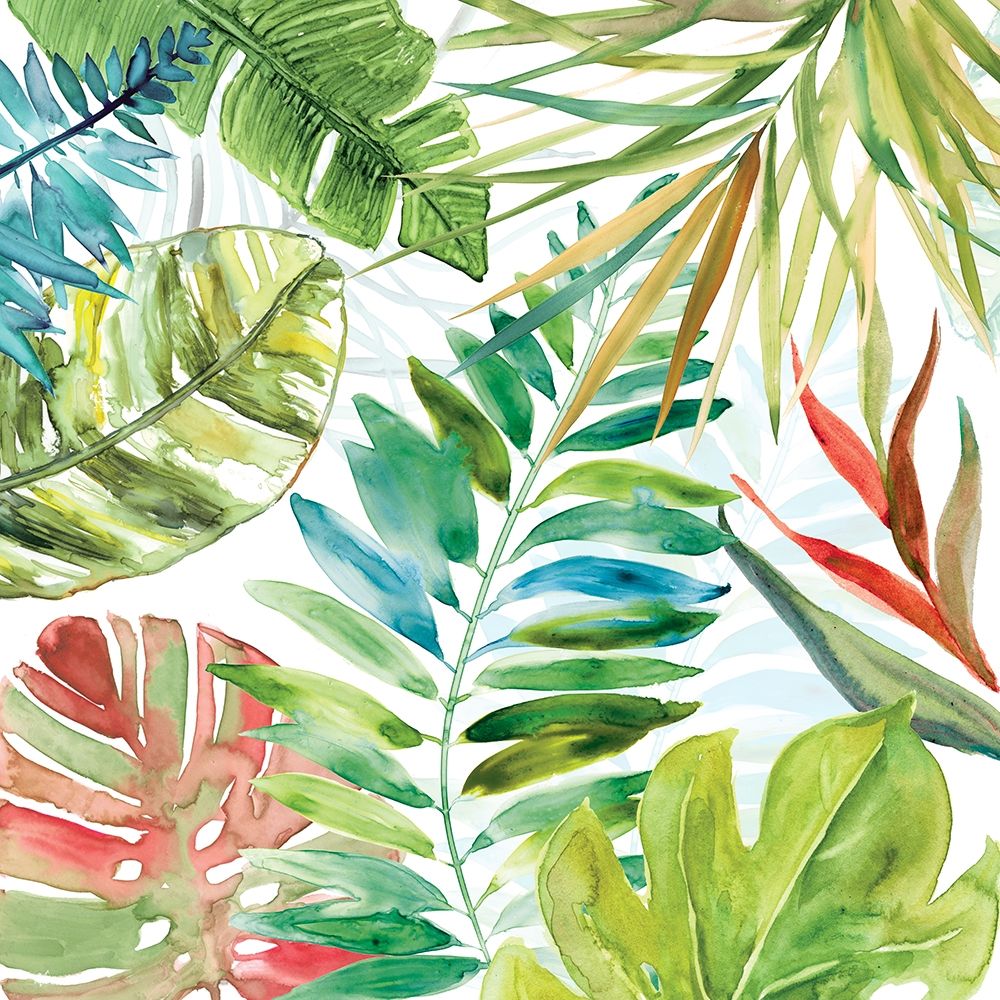 Caderno Tropical II — Robinson, Carol