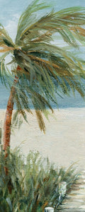 Caminhada na Praia I — Robinson, Carol