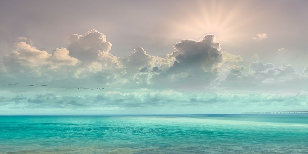 Águas do Caribe — Calascibetta, Mike