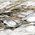 Ouro Marmorizado I — Robinson, Carol