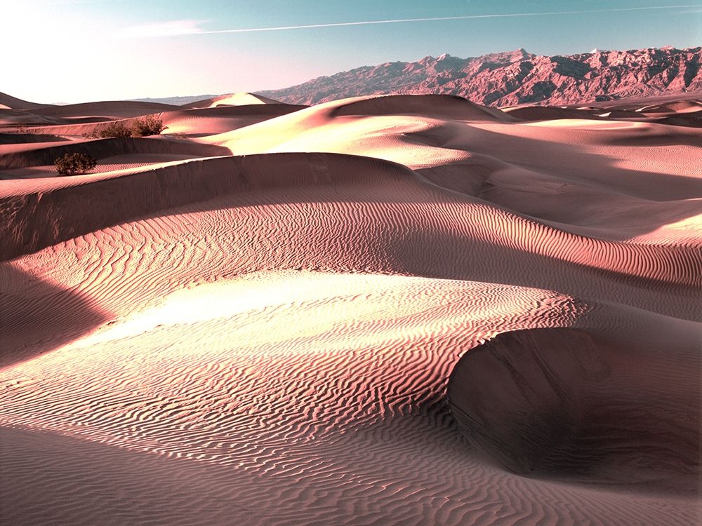 Mojave ao Poente — Delimont, Danita