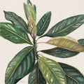 Folhas de Magnólia II — Robinson, Carol