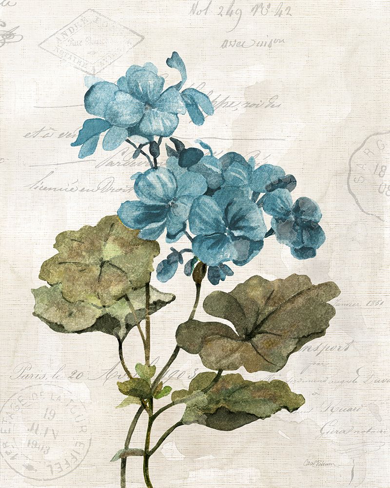 Gerânio em Linho — Robinson, Carol