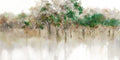 Reflexos Sutis da Campina — Robinson, Carol