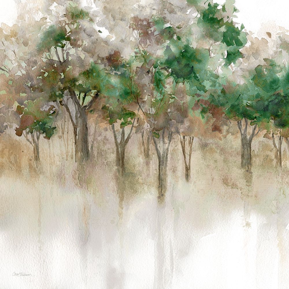 Reflexos Sutis da Floresta — Robinson, Carol