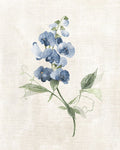 Fazenda em Azul-Pervinca II — Robinson, Carol
