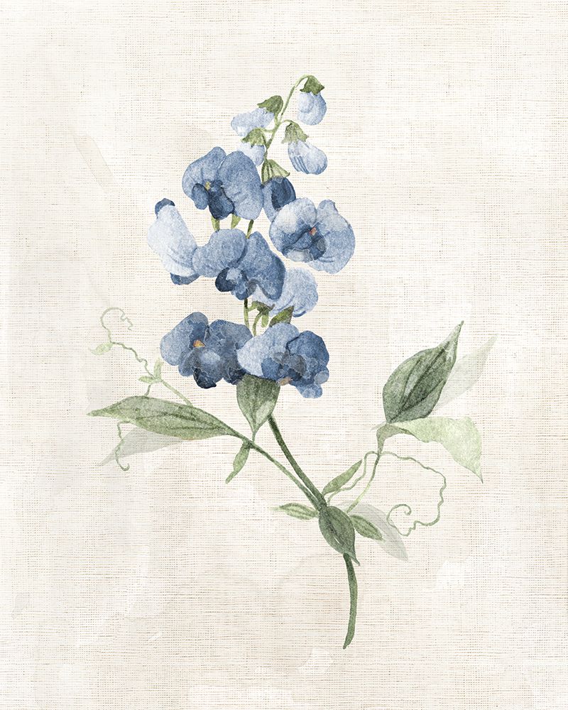 Fazenda em Azul-Pervinca II — Robinson, Carol