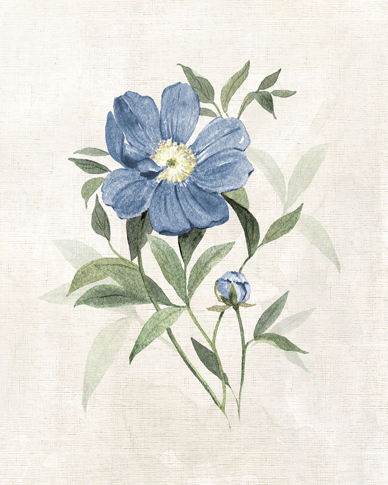 Fazenda em Azul-Pervinca III — Robinson, Carol