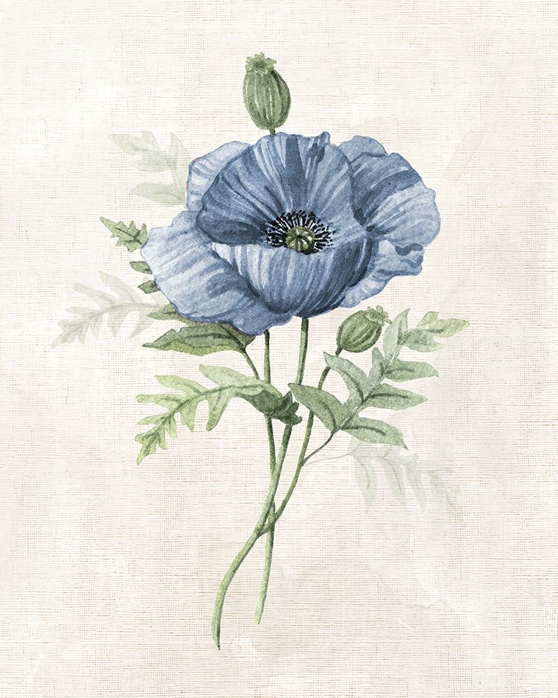 Fazenda em Azul-Pervinca IV — Robinson, Carol