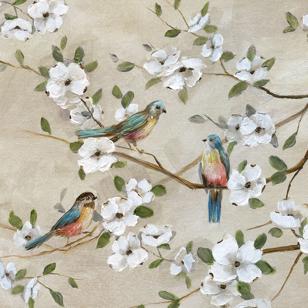 Companhia de Três II — Nan