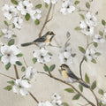 A Primavera Chegou — Nan