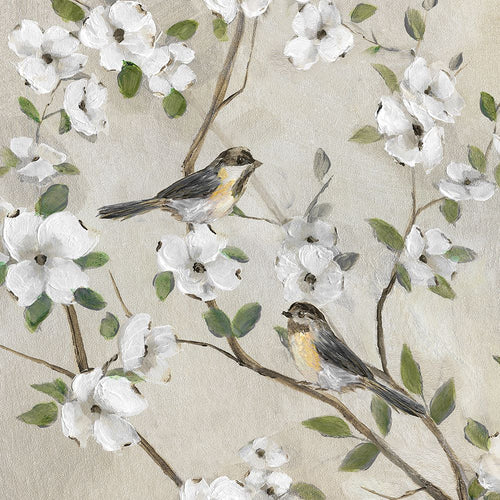 A Primavera Chegou — Nan