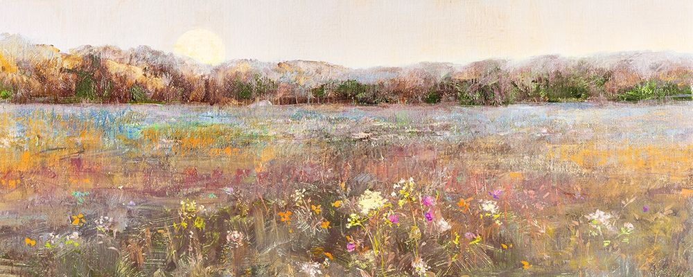 Amanhecer na Campina — Swatland, Sally