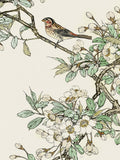 Natureza Atemporal II — Nan