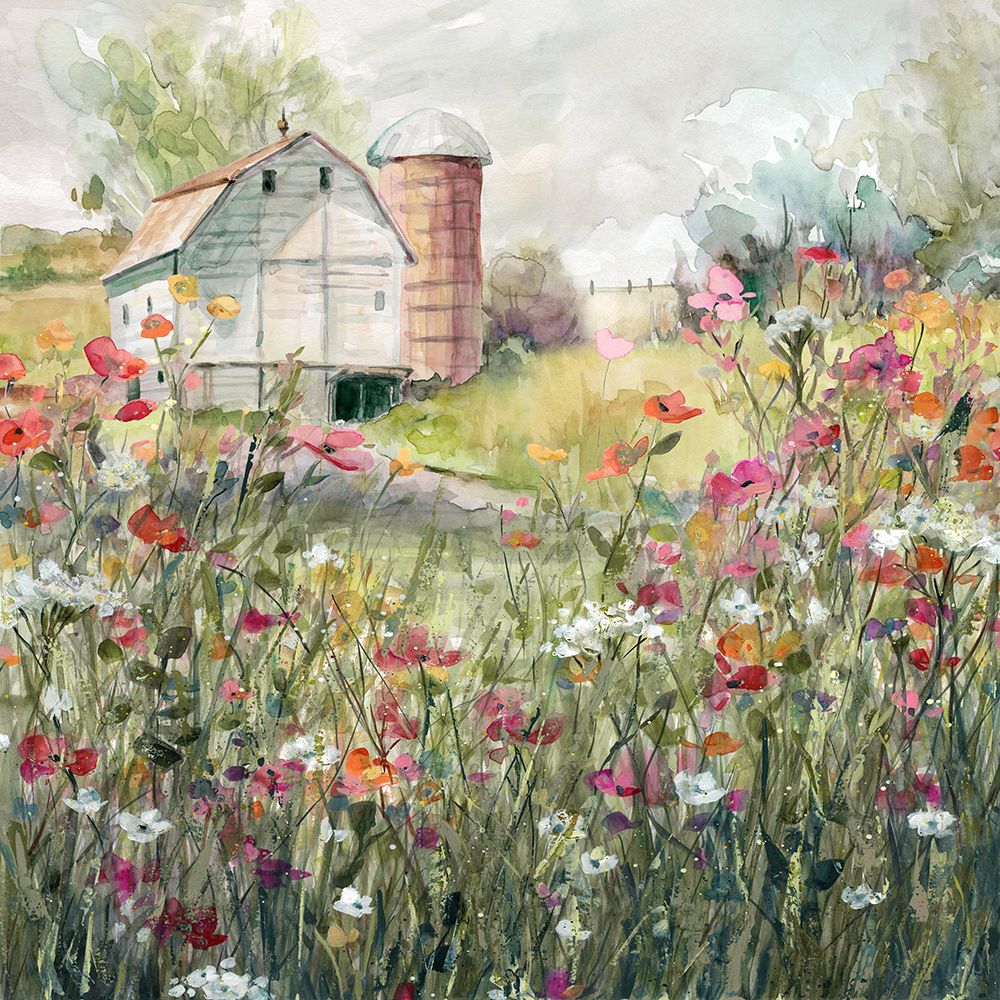 Fazenda em Flor — Nan