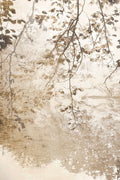 Afresco — Weisz, Irene