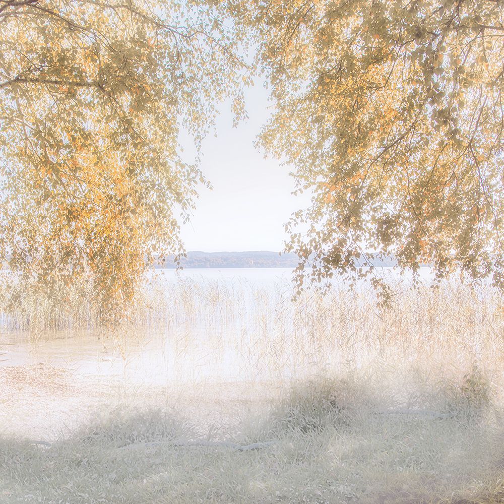 Lago Amigo — Weisz, Irene