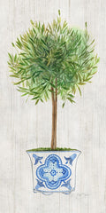 Topiaria de Alecrim — Tava Studios