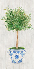 Topiaria de Sálvia — Tava Studios