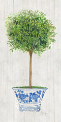 Topiaria de Tomilho — Tava Studios