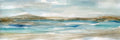 Praia Serena II — Robinson, Carol