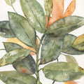 Vida das Plantas I — Robinson, Carol