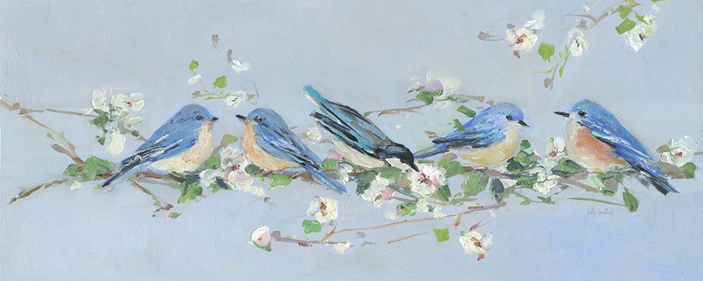 Galho Tagarela II — Swatland, Sally