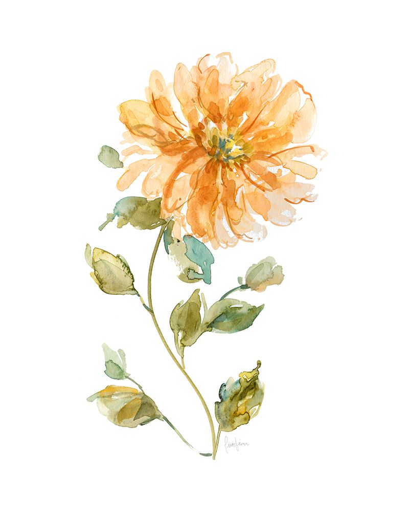 Botânica Luminosa II — Finn, Livi