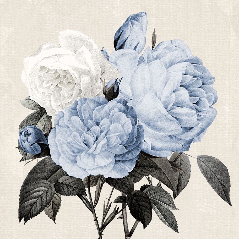 Arranjo Botânico Azul I — Donovan, Kelly