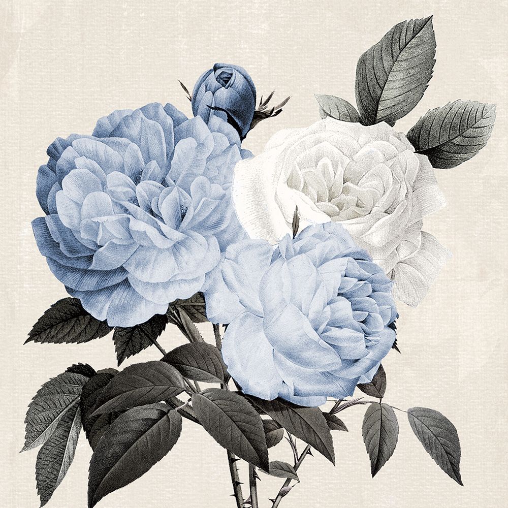 Arranjo Botânico Azul II — Donovan, Kelly