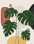 Natureza Contemporânea I — Tava Studios