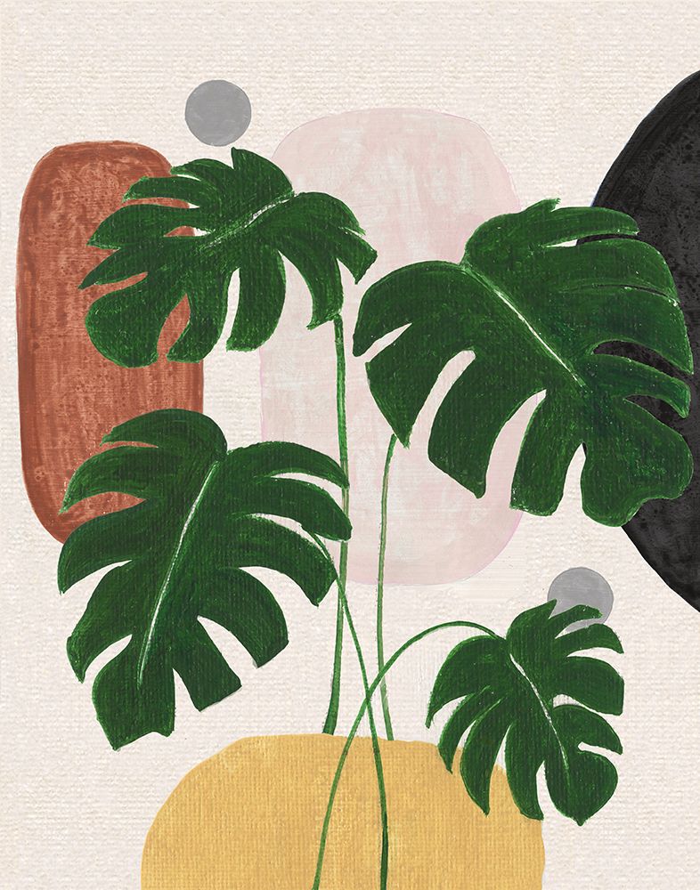 Natureza Contemporânea I — Tava Studios