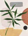 Natureza Contemporânea II — Tava Studios