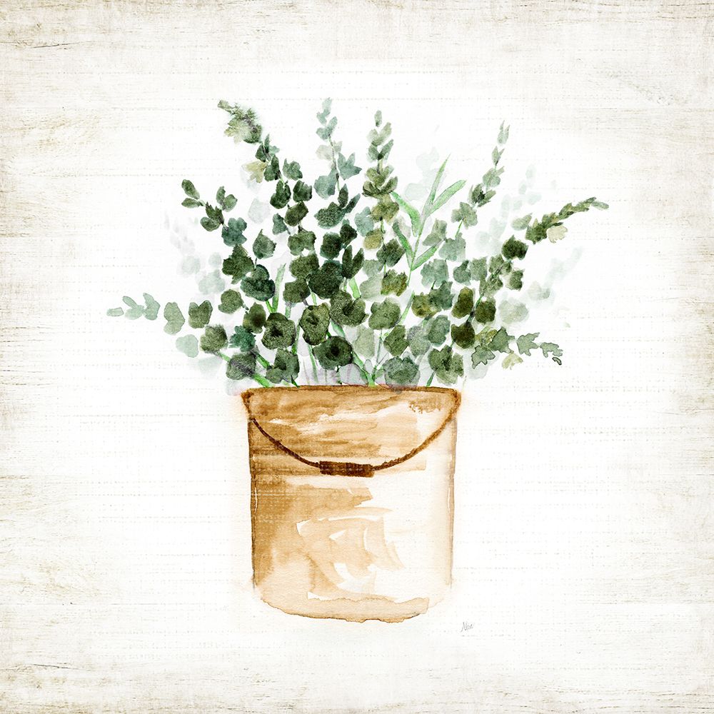 Balde de Verde II — Nan