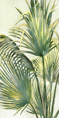 Brisa de Verão II — Pattinian, Merri