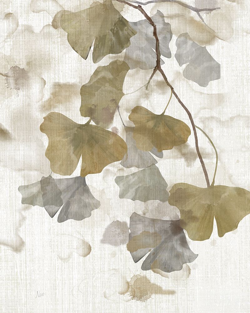 Acento de Ginkgo II — Nan