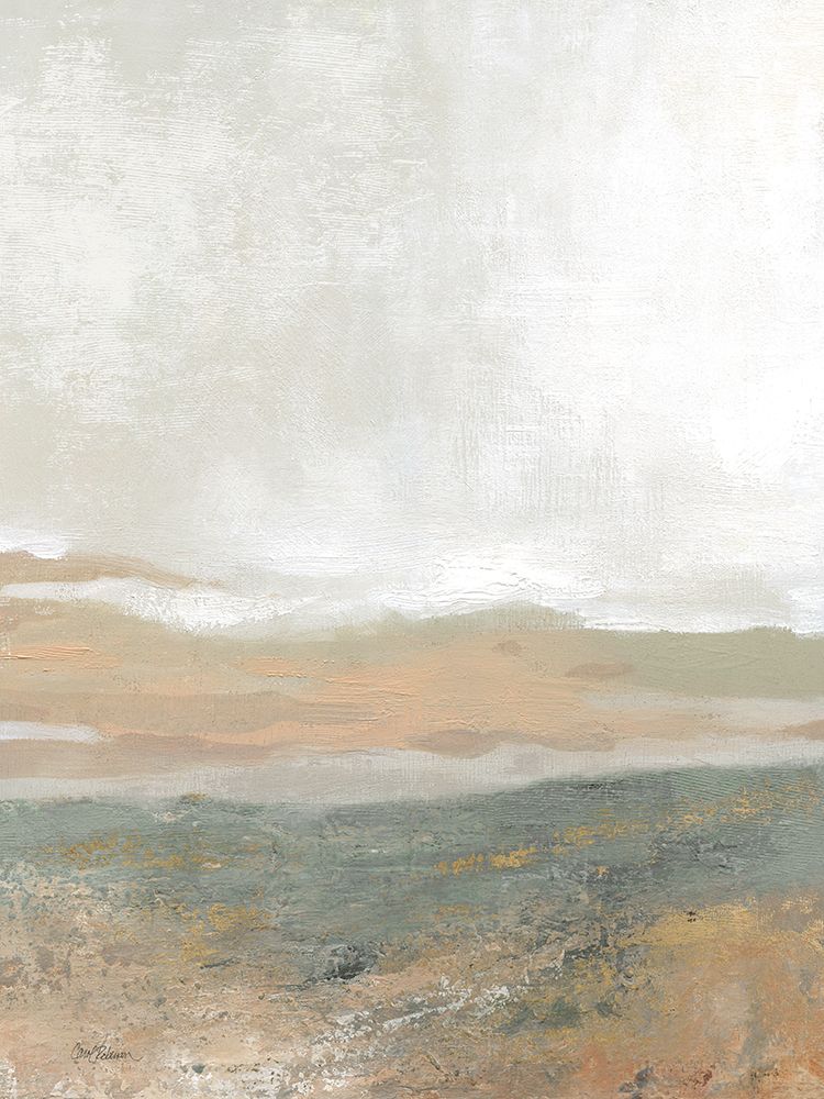 Texturas Terrosas — Robinson, Carol