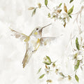 Canção do Beija-Flor I — Robinson, Carol