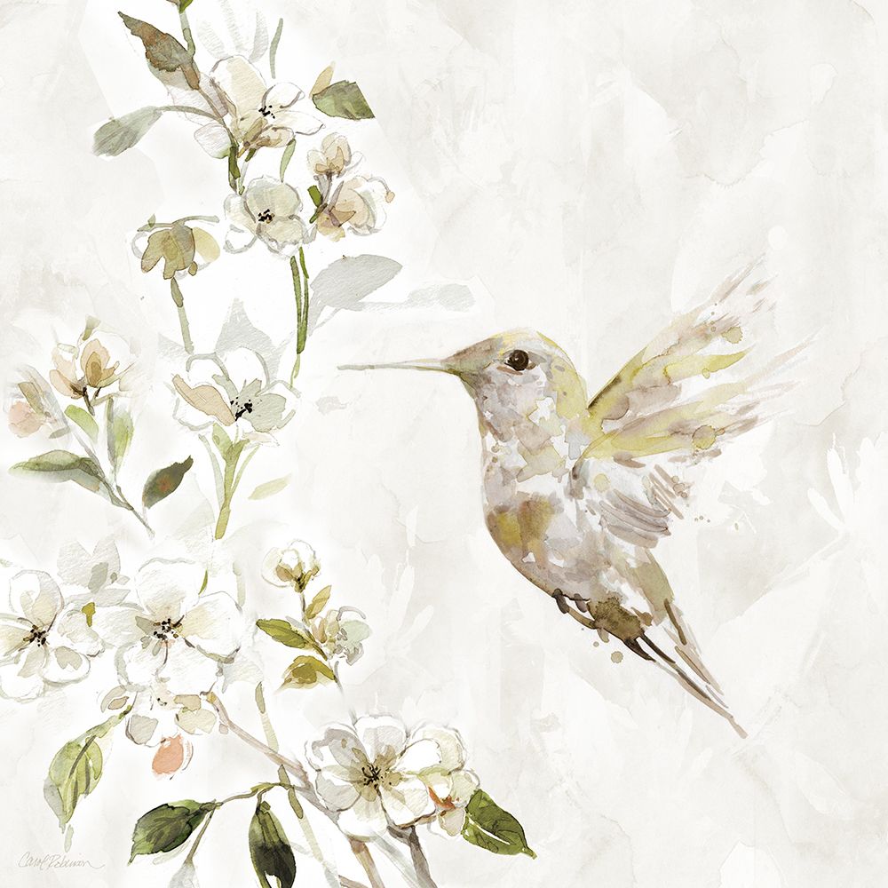 Canção do Beija-Flor II — Robinson, Carol