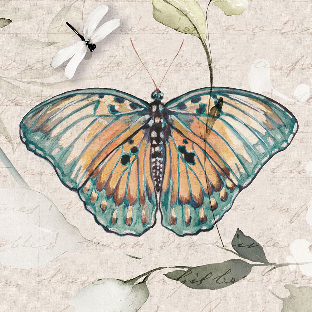 Papillon I — Jill, Susan