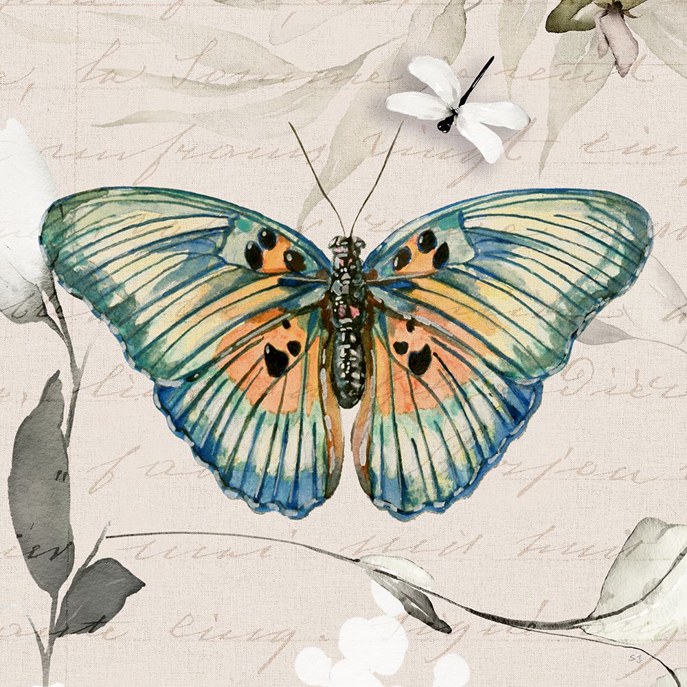 Papillon II — Jill, Susan