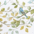 Pássaro Azul da Primavera II 2 — Nan
