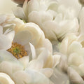 Sombras Florais II — Robinson, Carol