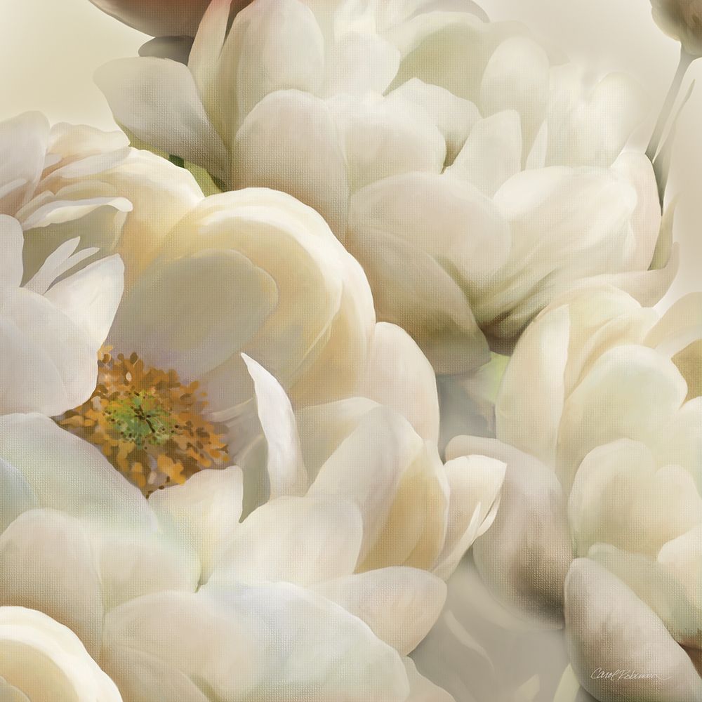 Sombras Florais II — Robinson, Carol