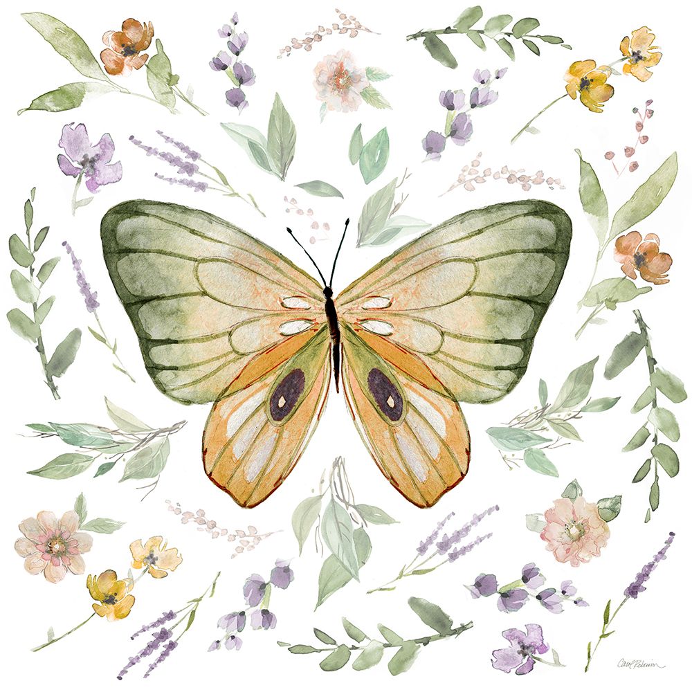 Natureza Orgânica I — Robinson, Carol