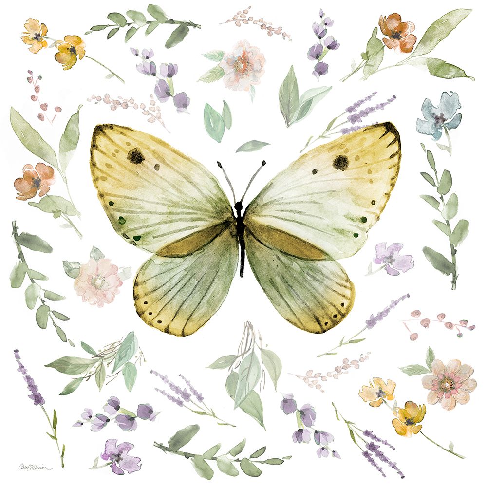 Natureza Orgânica II — Robinson, Carol