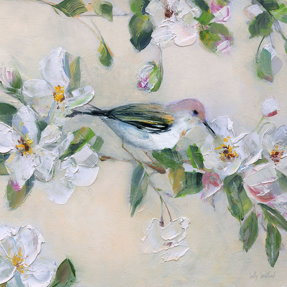Pássaros e Flores em Rubor II — Swatland, Sally