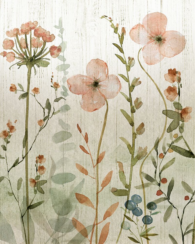 Caderno de Flores Silvestres I — Finn, Livi