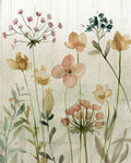 Caderno de Flores Silvestres II — Finn, Livi